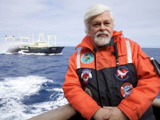 Aktivista proti lovu velryb Paul Watson | Foto Captain Paul Watson Foundation