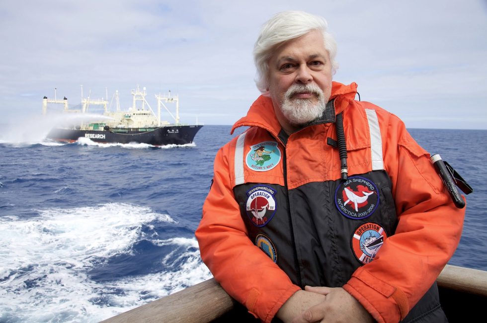 Aktivista proti lovu velryb Paul Watson | Foto Captain Paul Watson Foundation